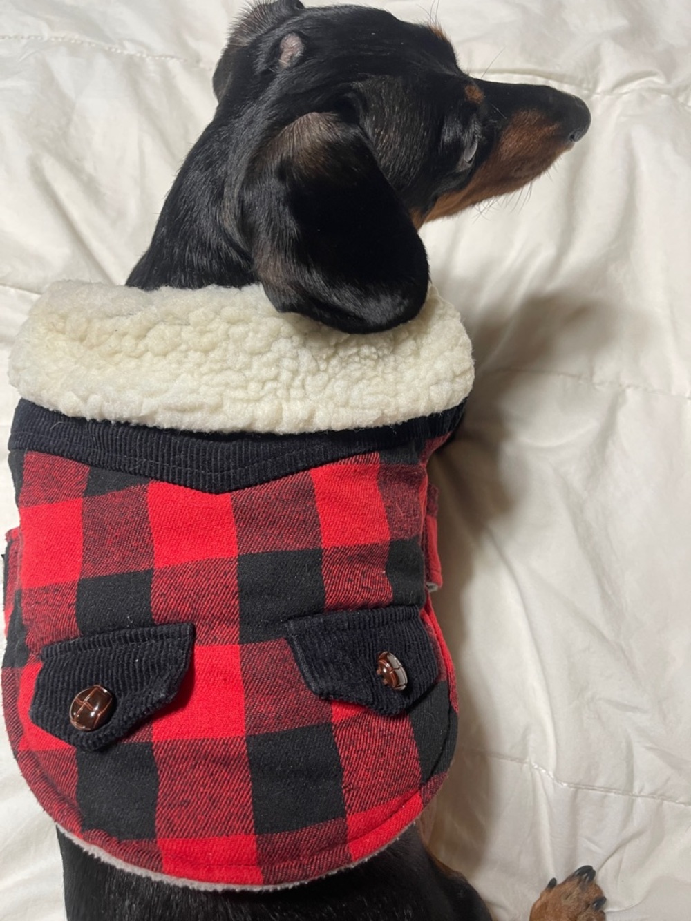Red & Black Plaid Dog Coat with faux collar  size xs